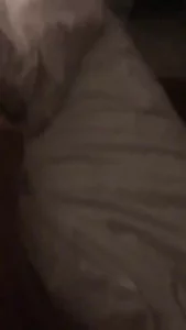 母狗，你会求饶吗？